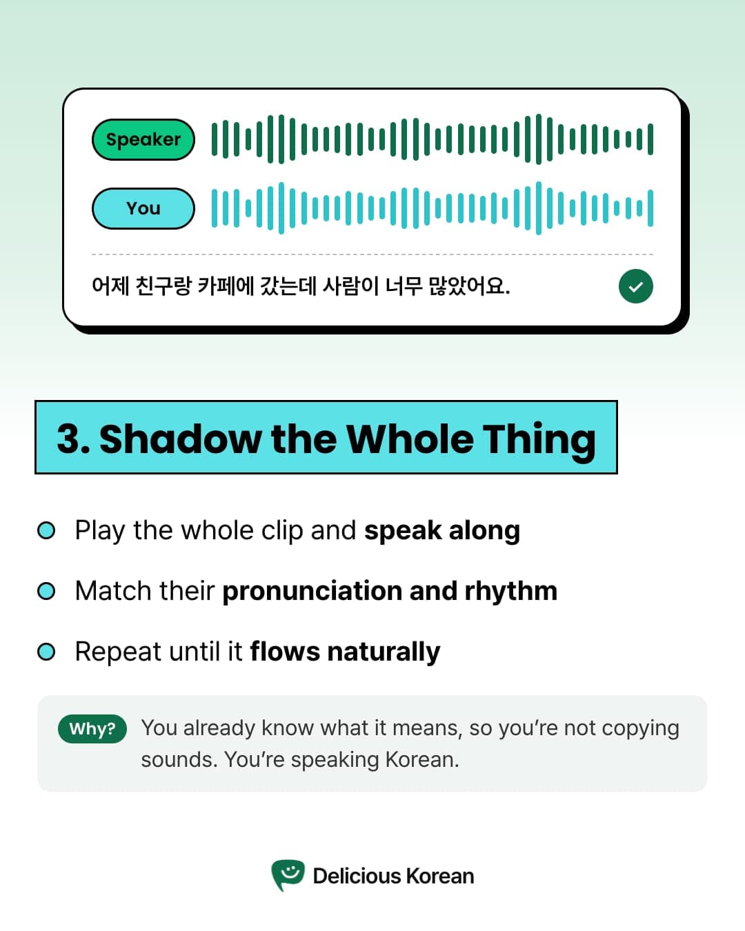 Step 3: Shadow the whole thing, matching pronunciation and rhythm.